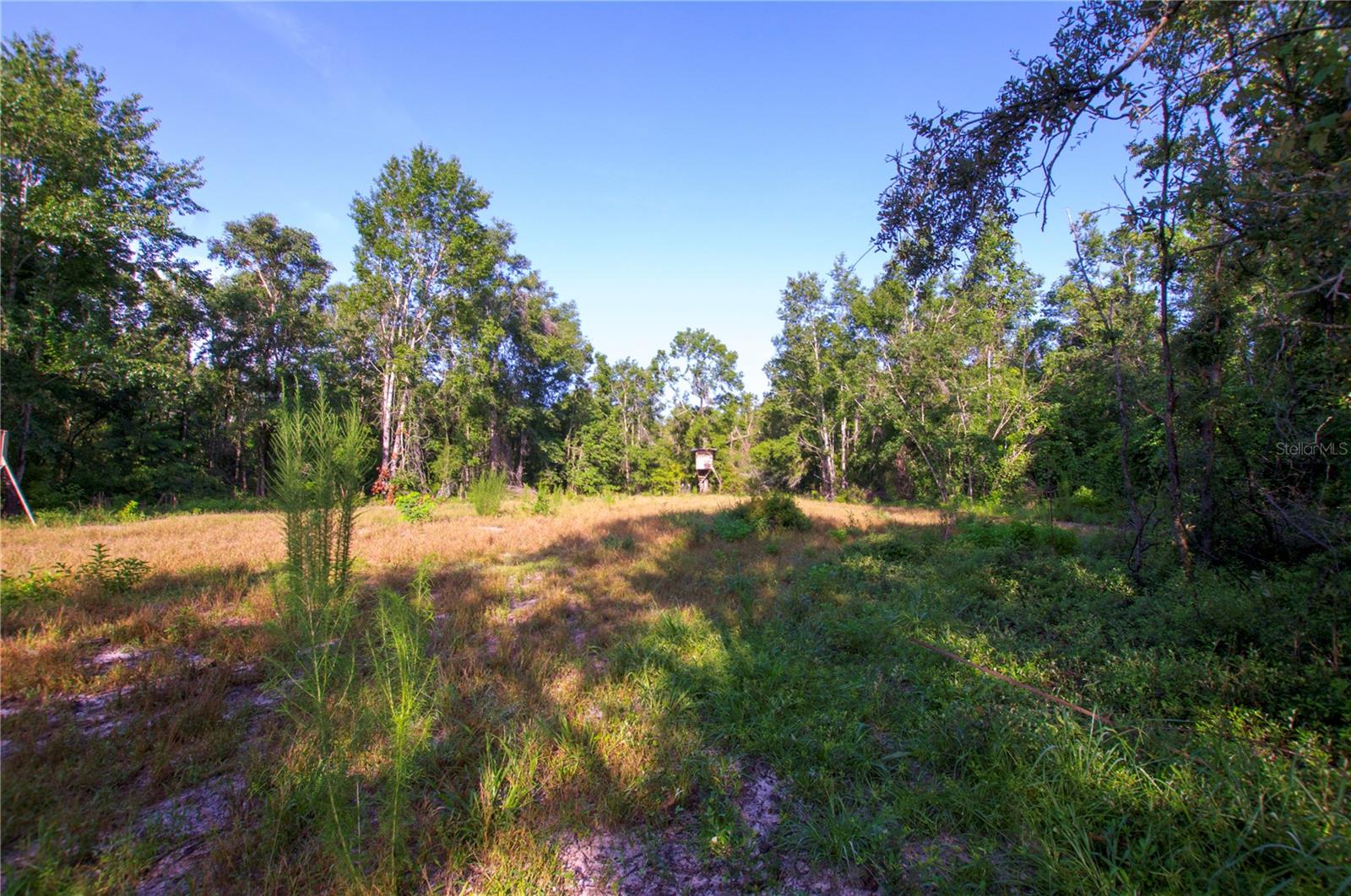 18233 185th Rd Property Photo 43
