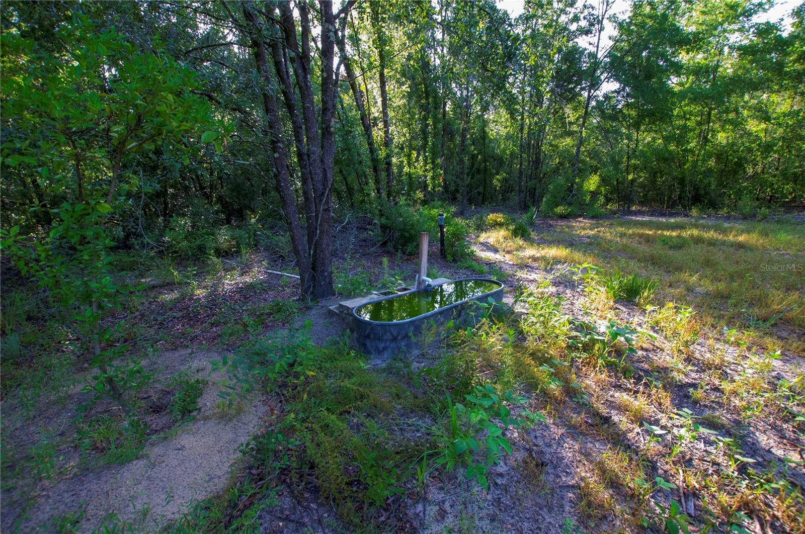 18233 185th Rd Property Photo 44