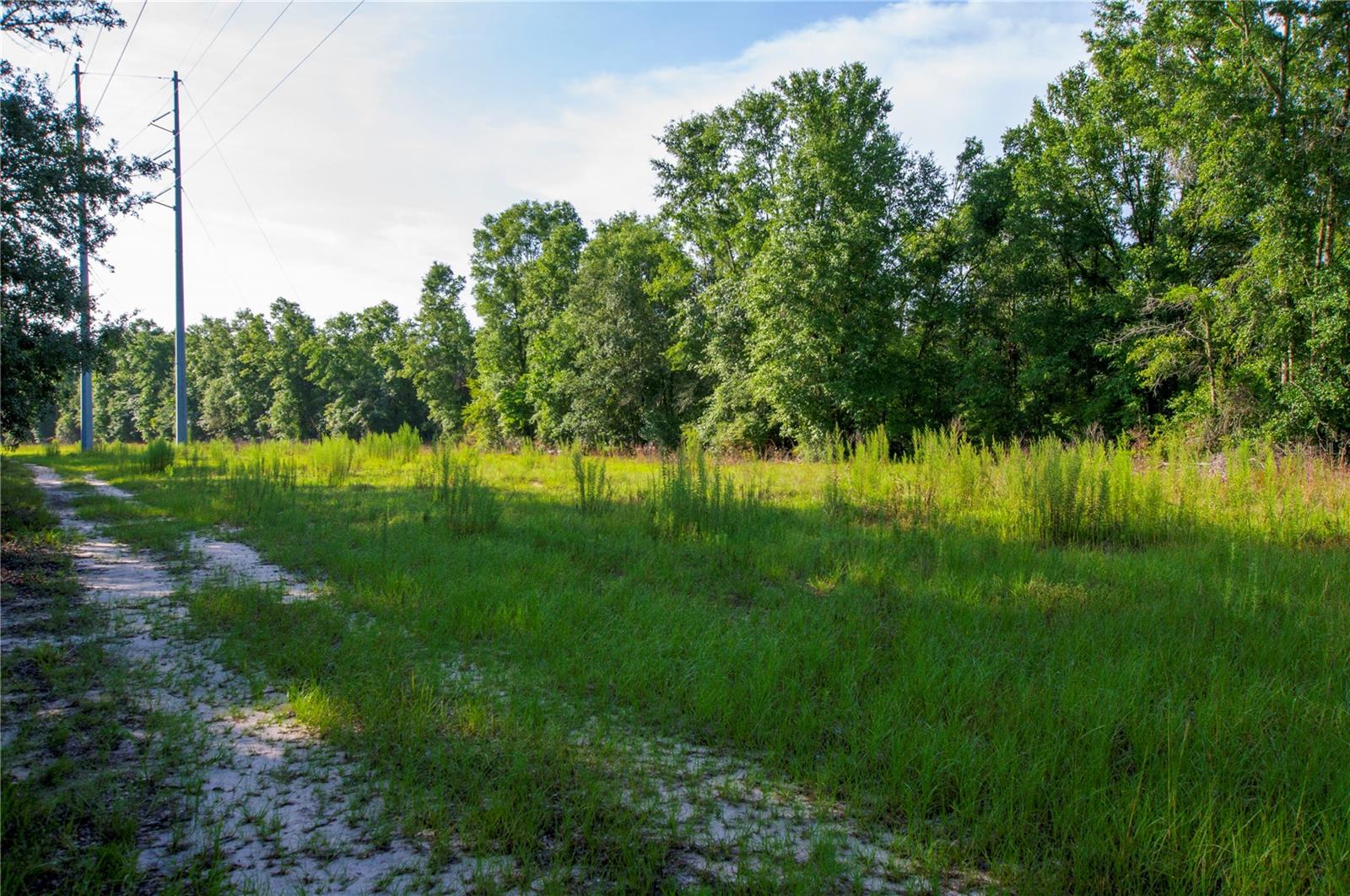 18233 185th Rd Property Photo 48