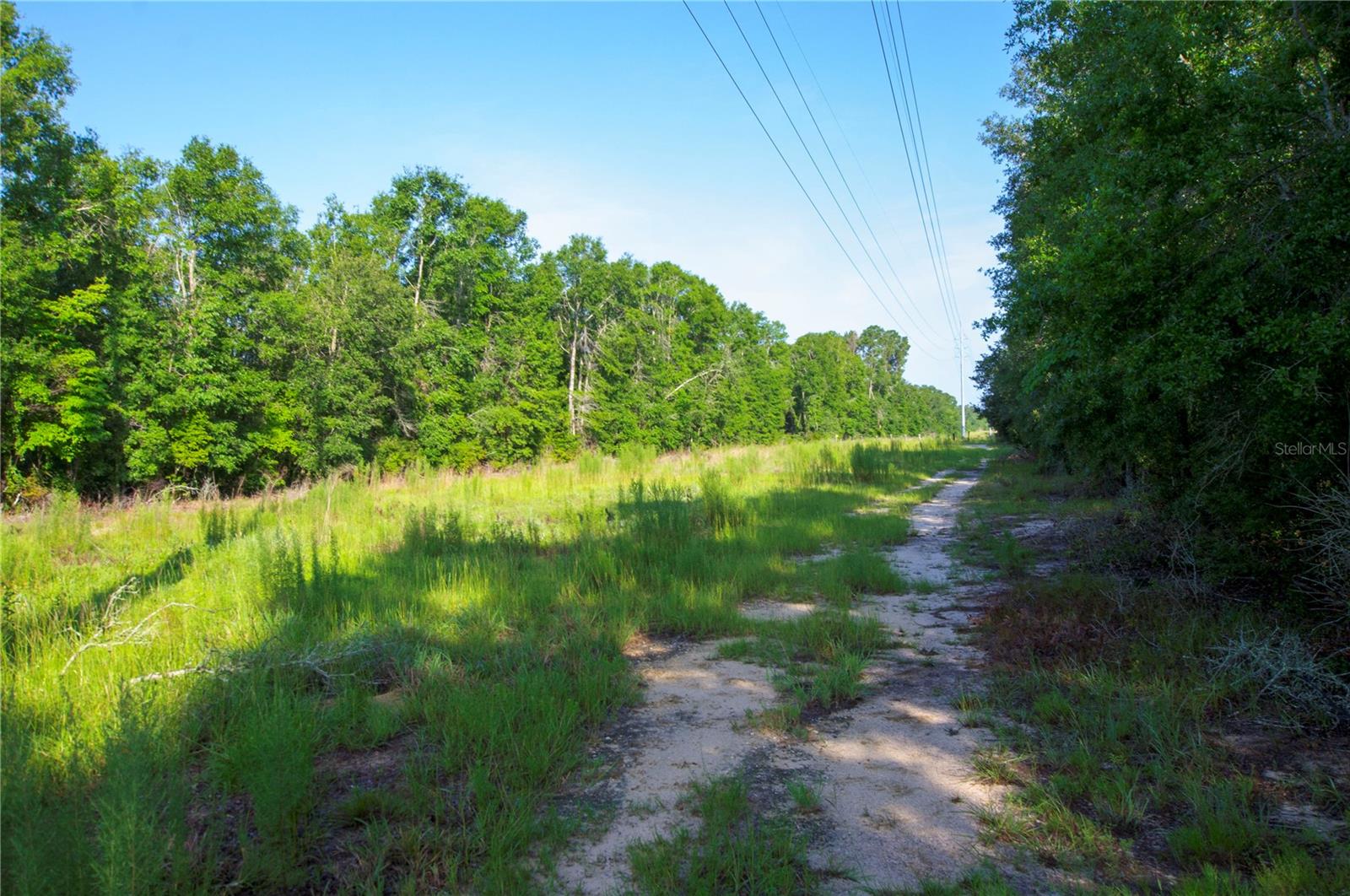 18233 185th Rd Property Photo 49