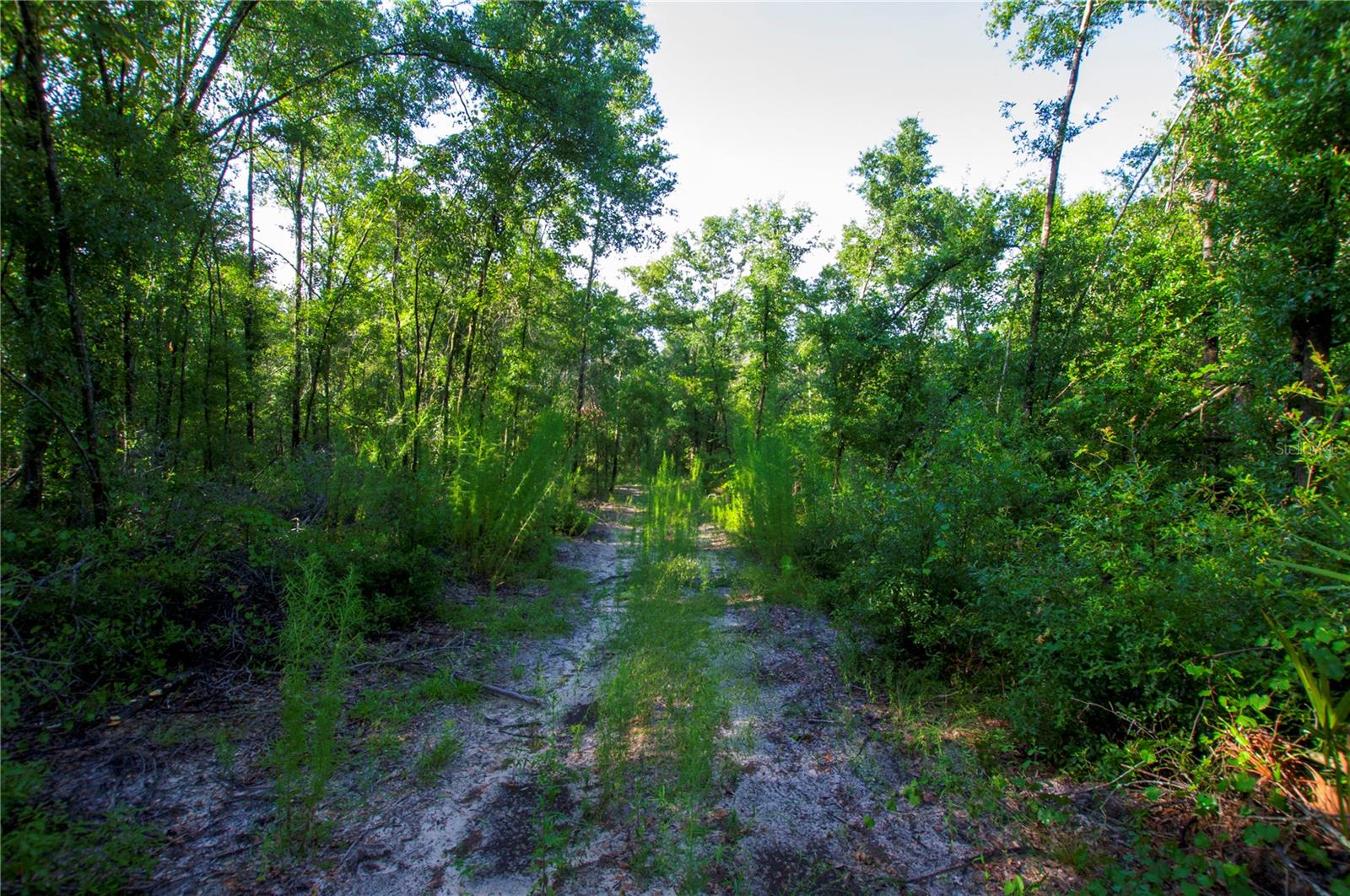 18233 185th Rd Property Photo 52