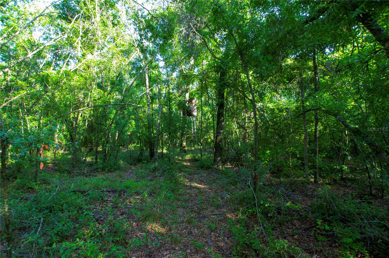 18233 185th Rd Property Photo 57