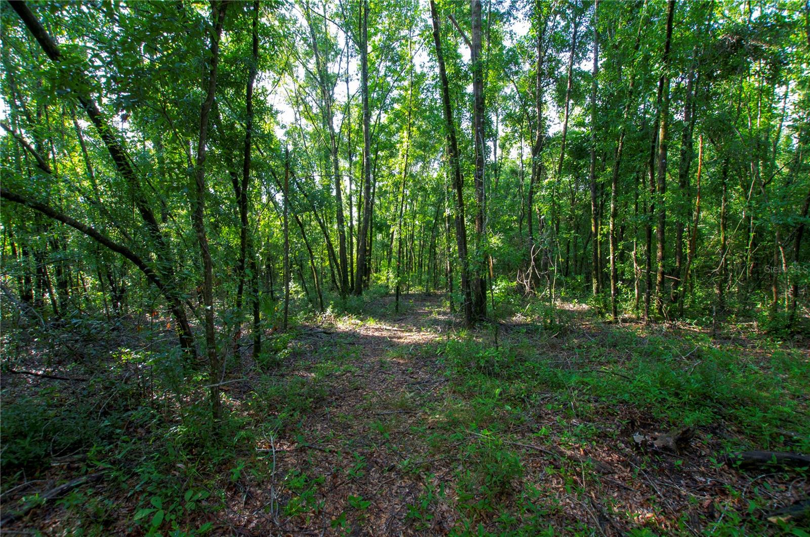 18233 185th Rd Property Photo 58