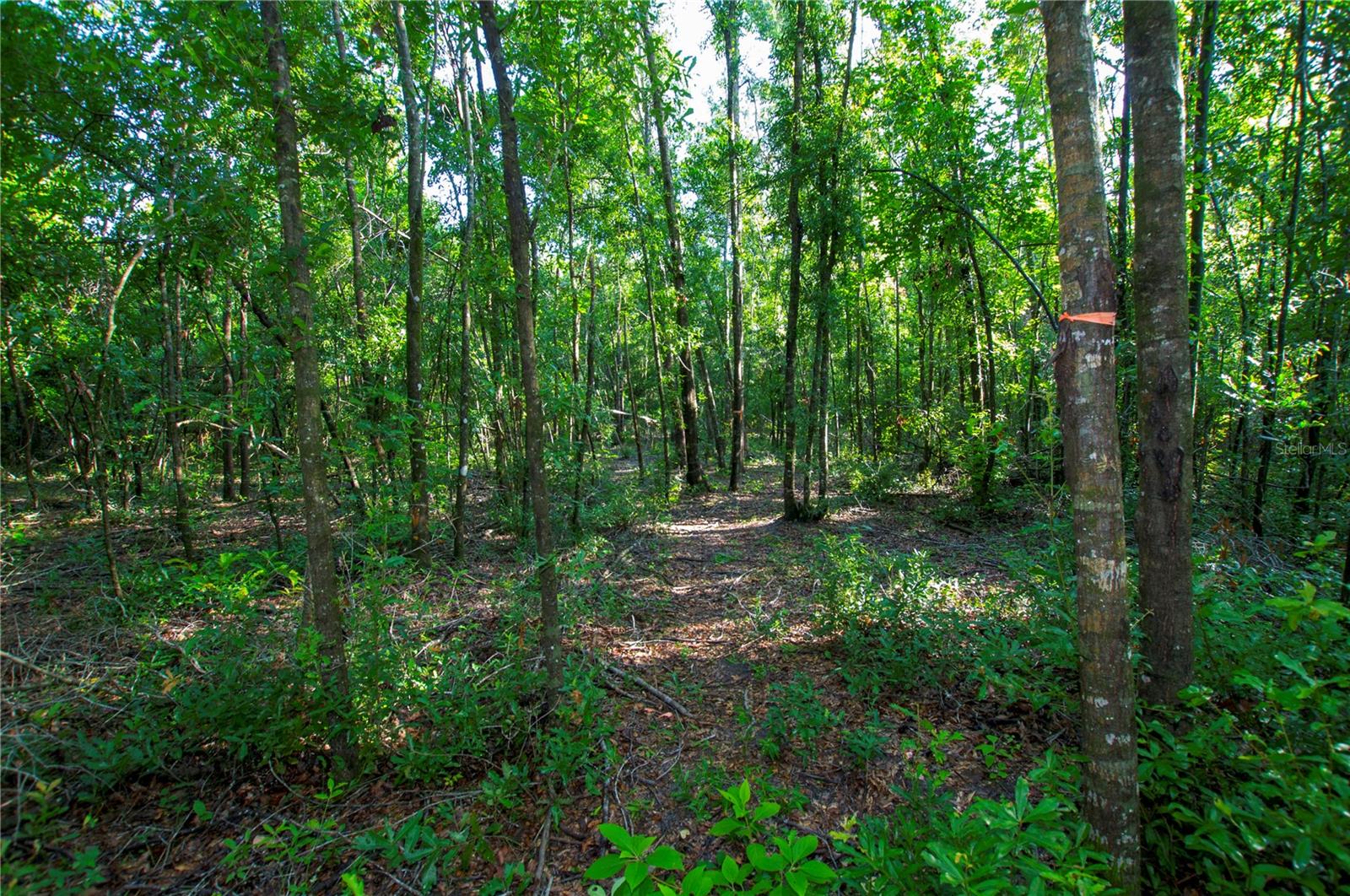 18233 185th Rd Property Photo 59