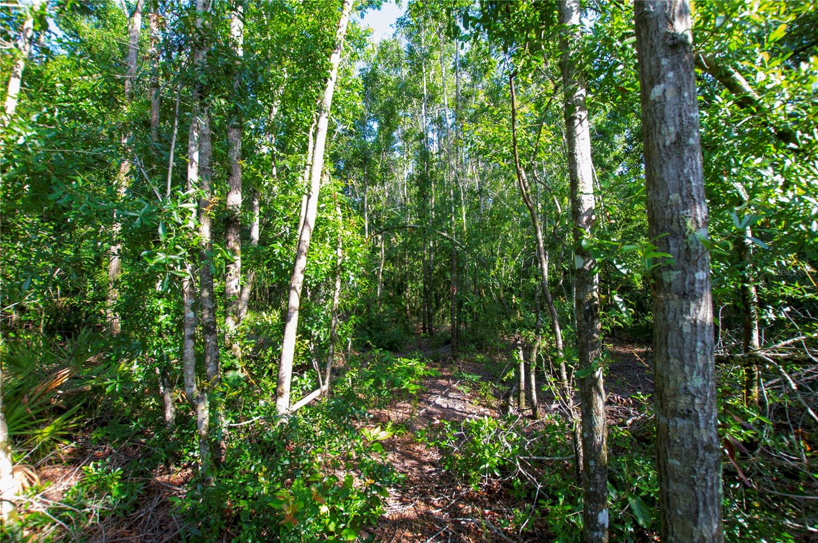 18233 185th Rd Property Photo 62