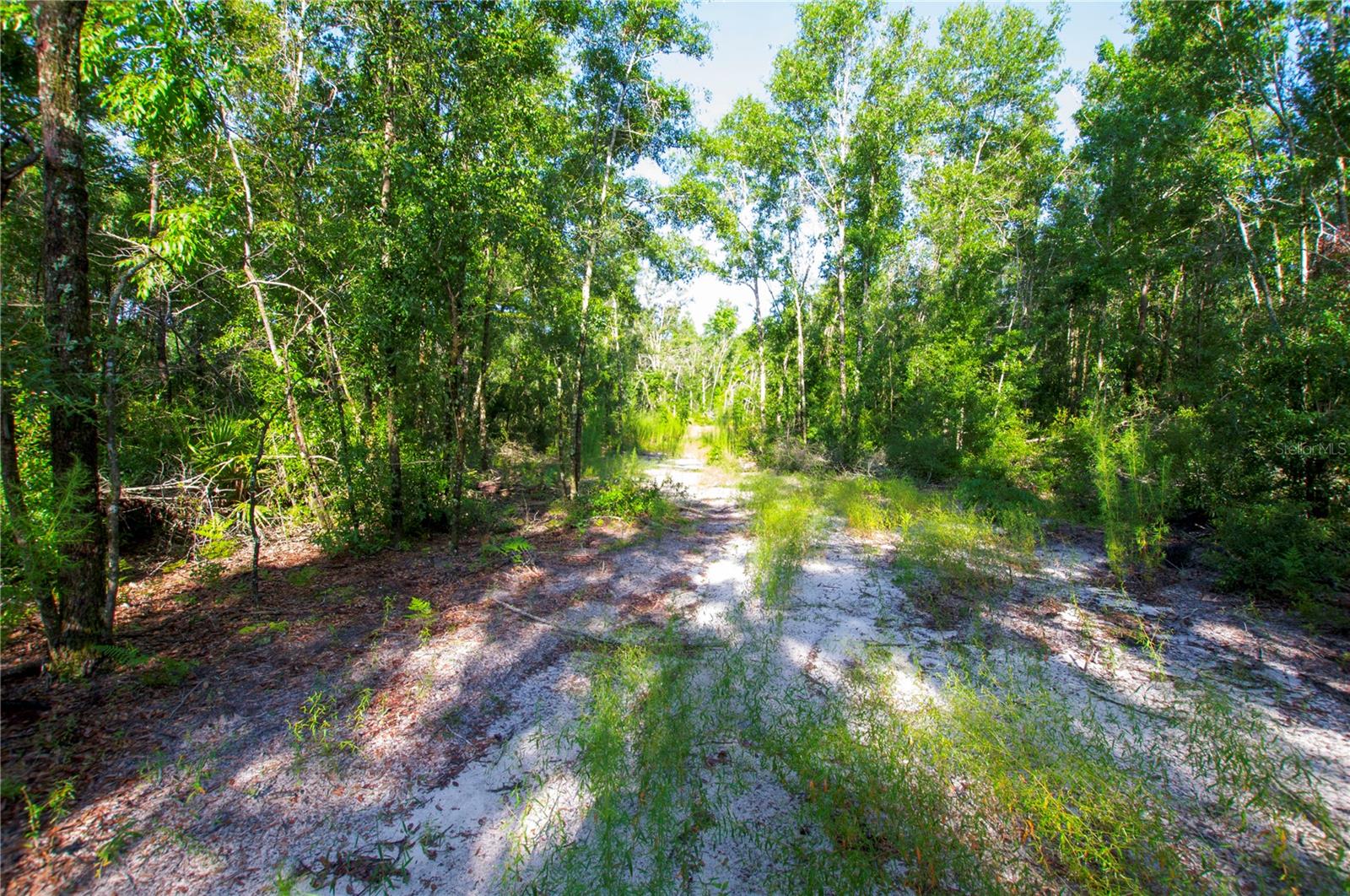 18233 185th Rd Property Photo 64