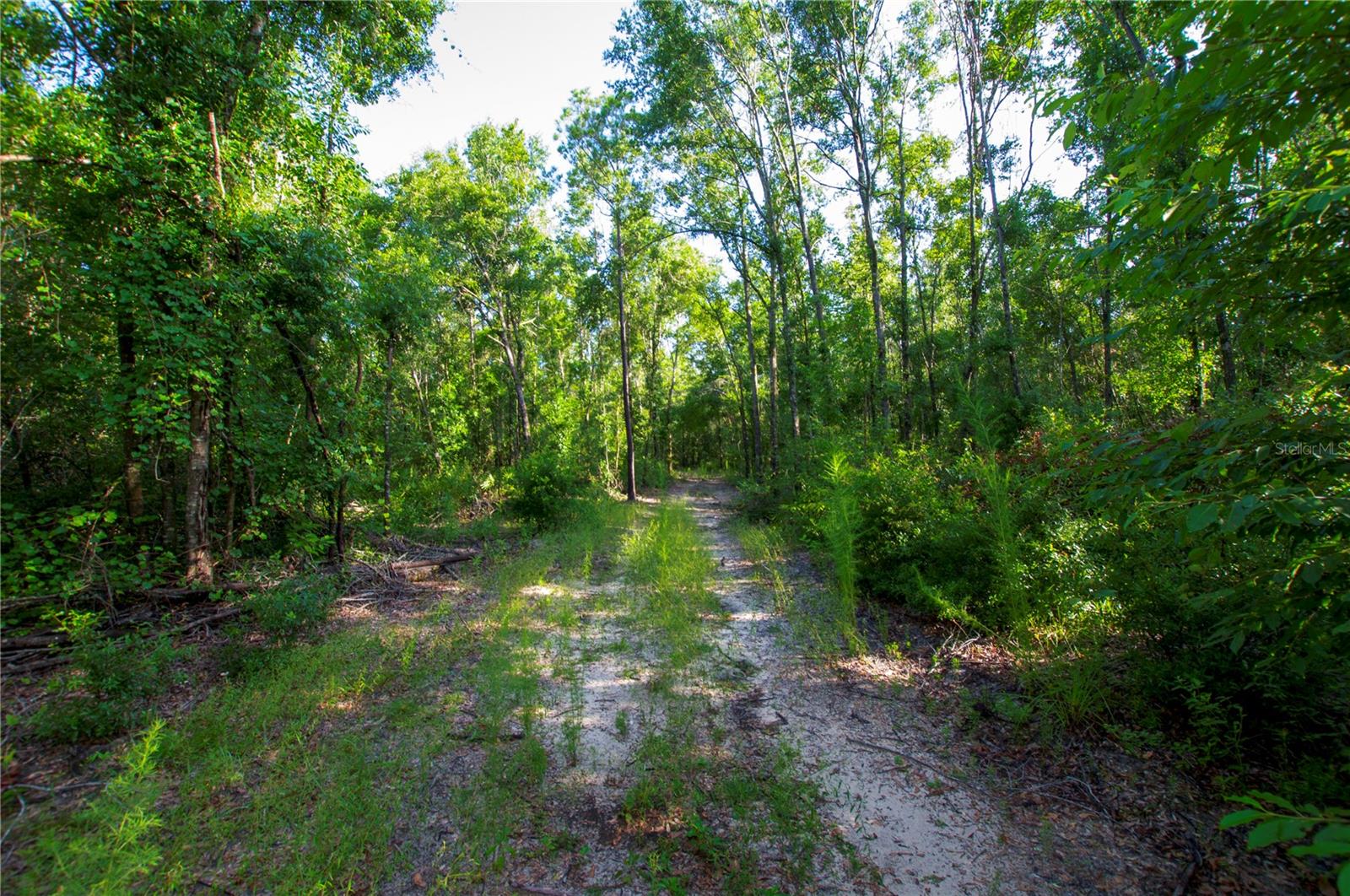 18233 185th Rd Property Photo 67