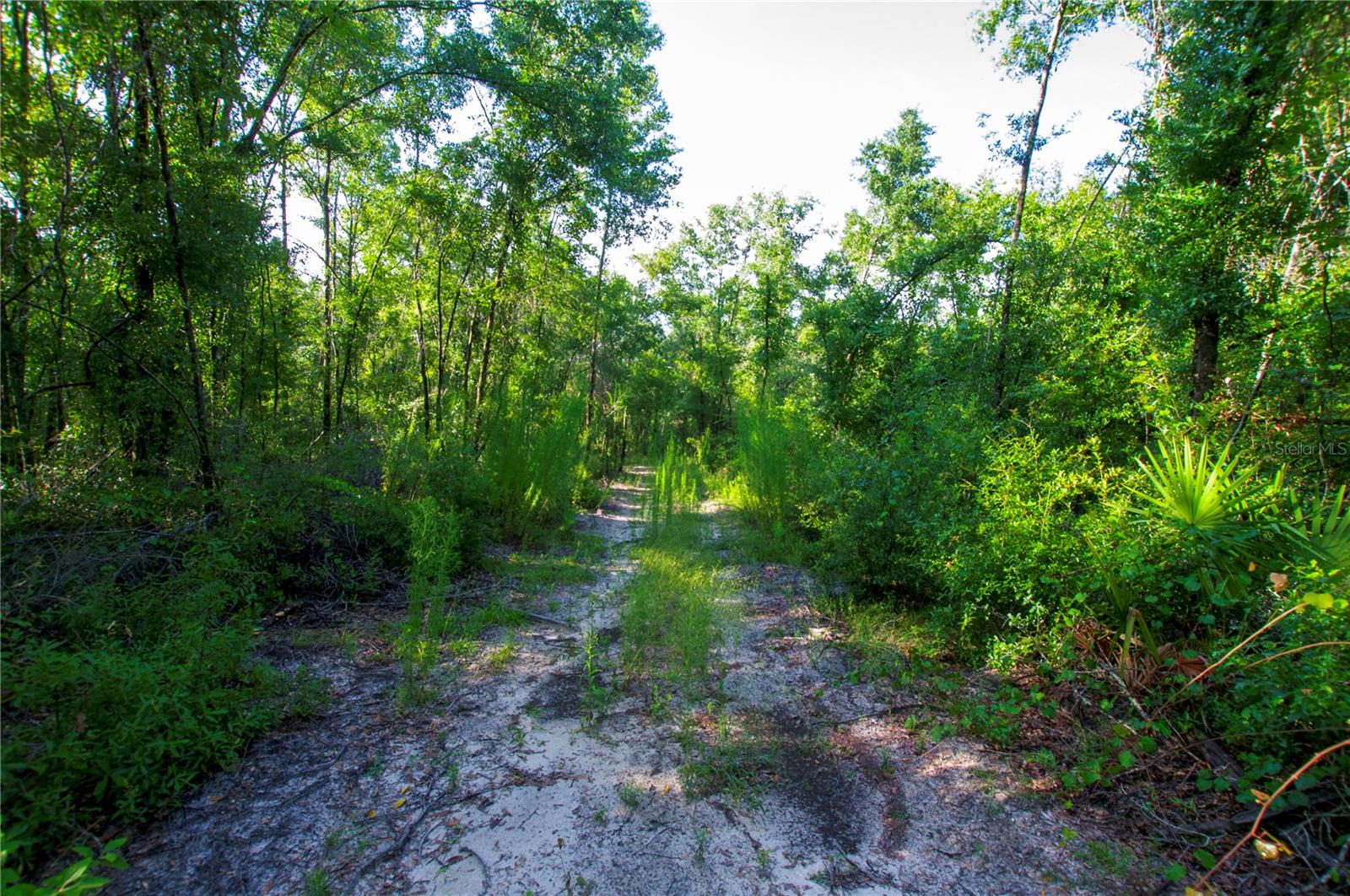 18233 185th Rd Property Photo 68