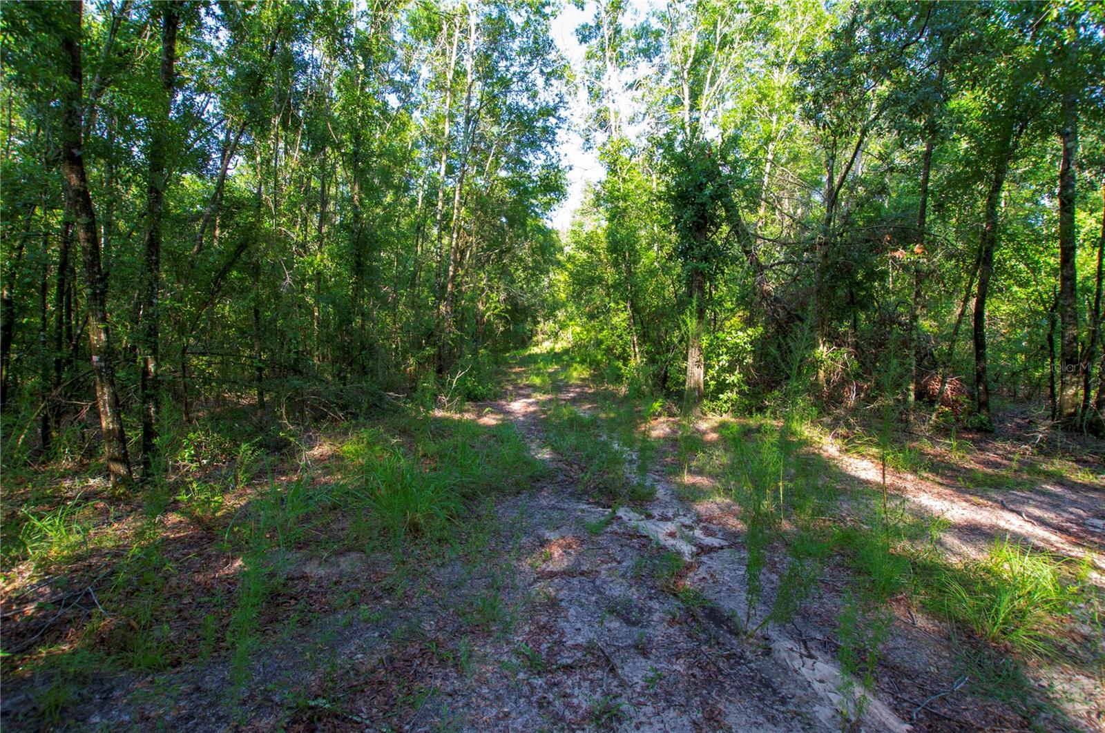 18233 185th Rd Property Photo 70