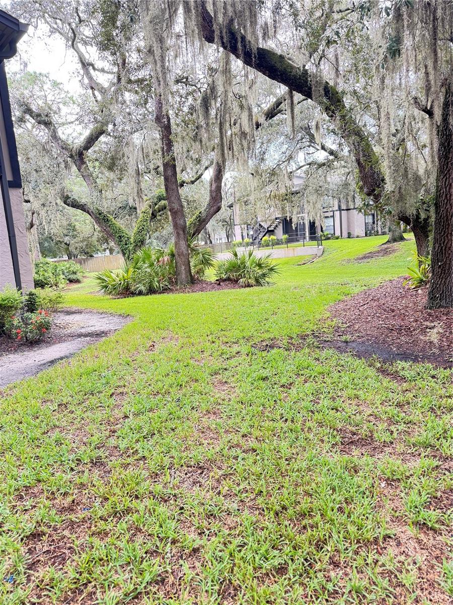 4033 Dream Oak Pl #101 Property Photo 2