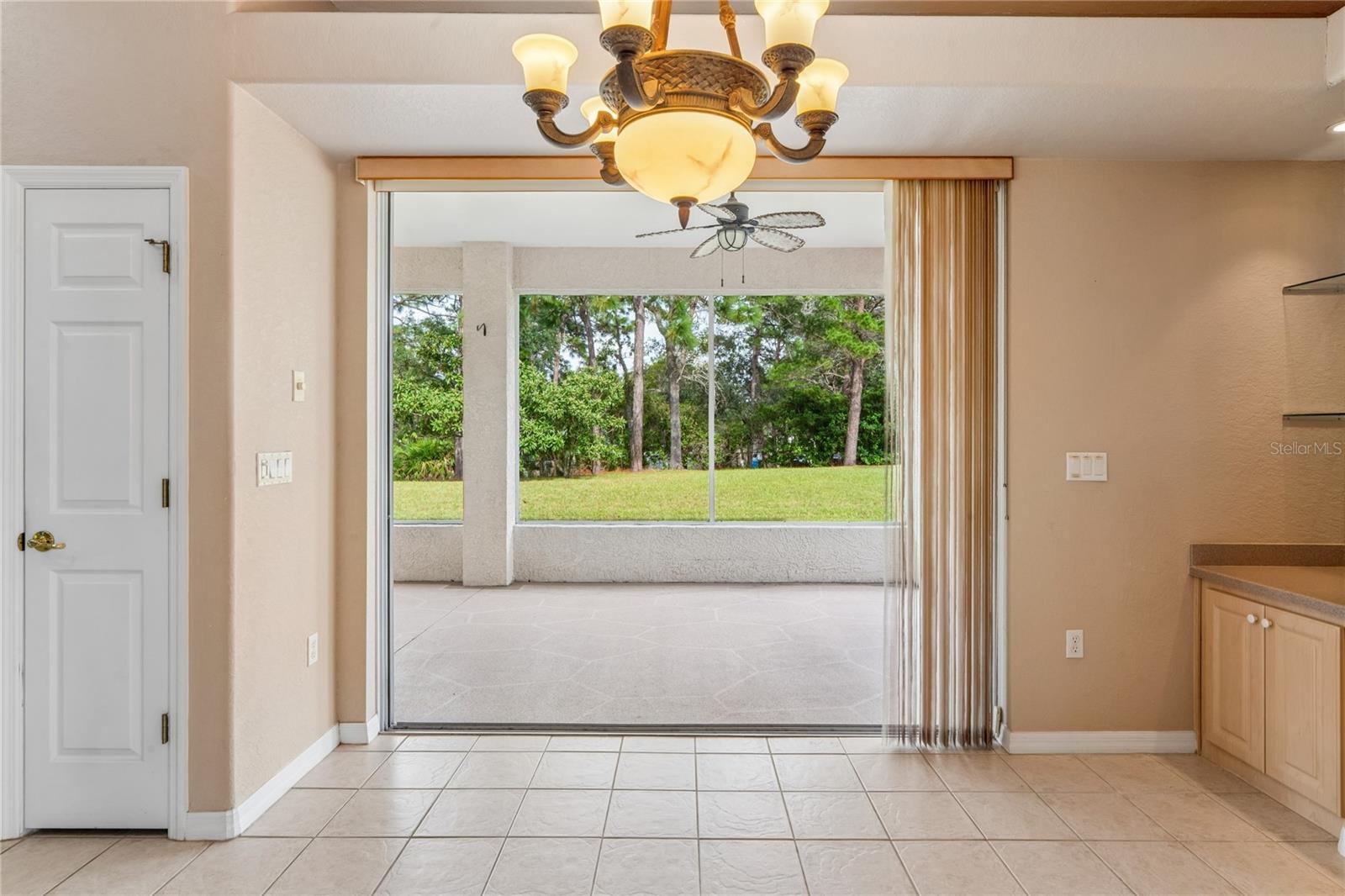 10120 Shortleaf Ct Property Photo 45