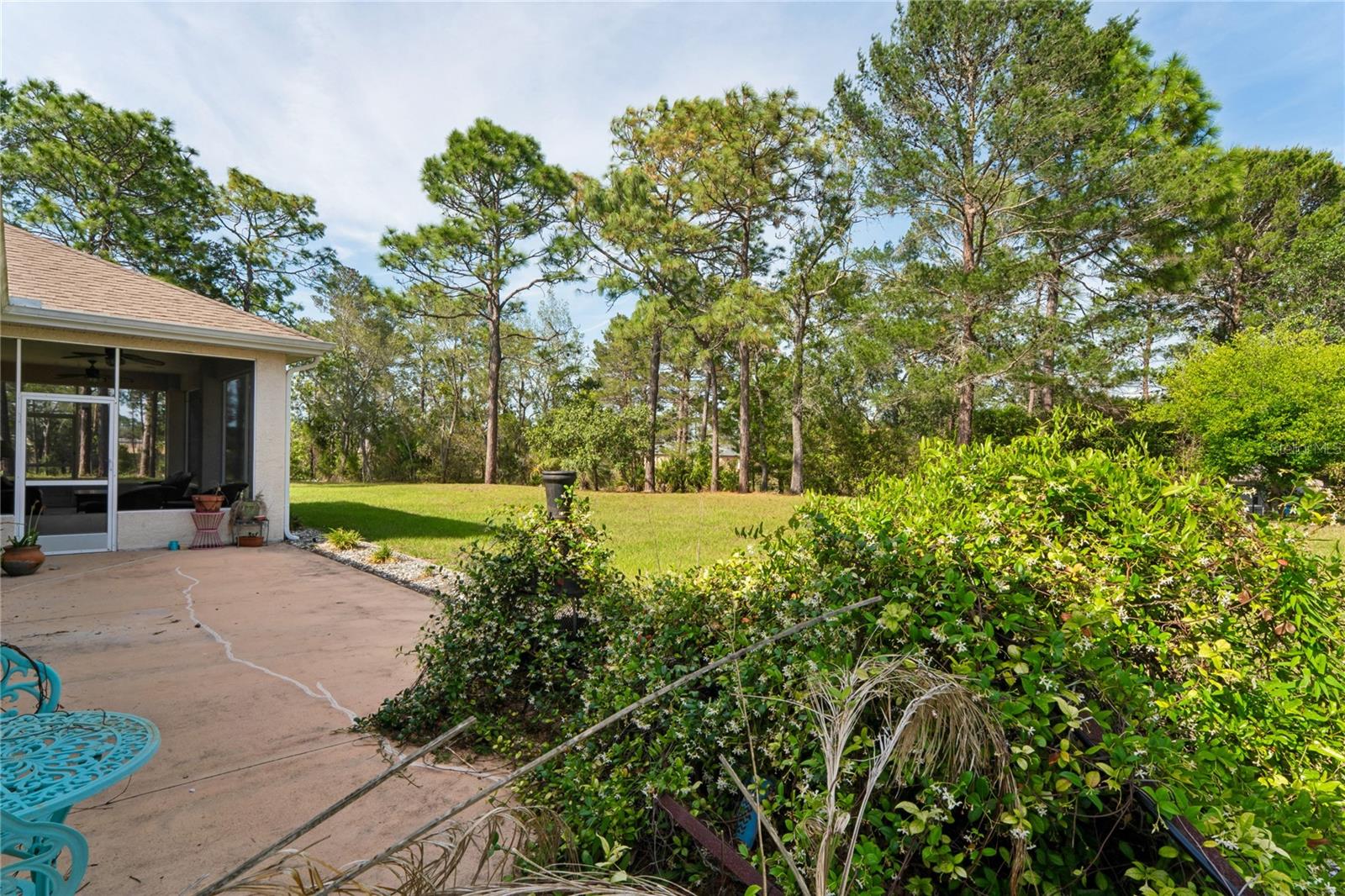 10120 Shortleaf Ct Property Photo 77
