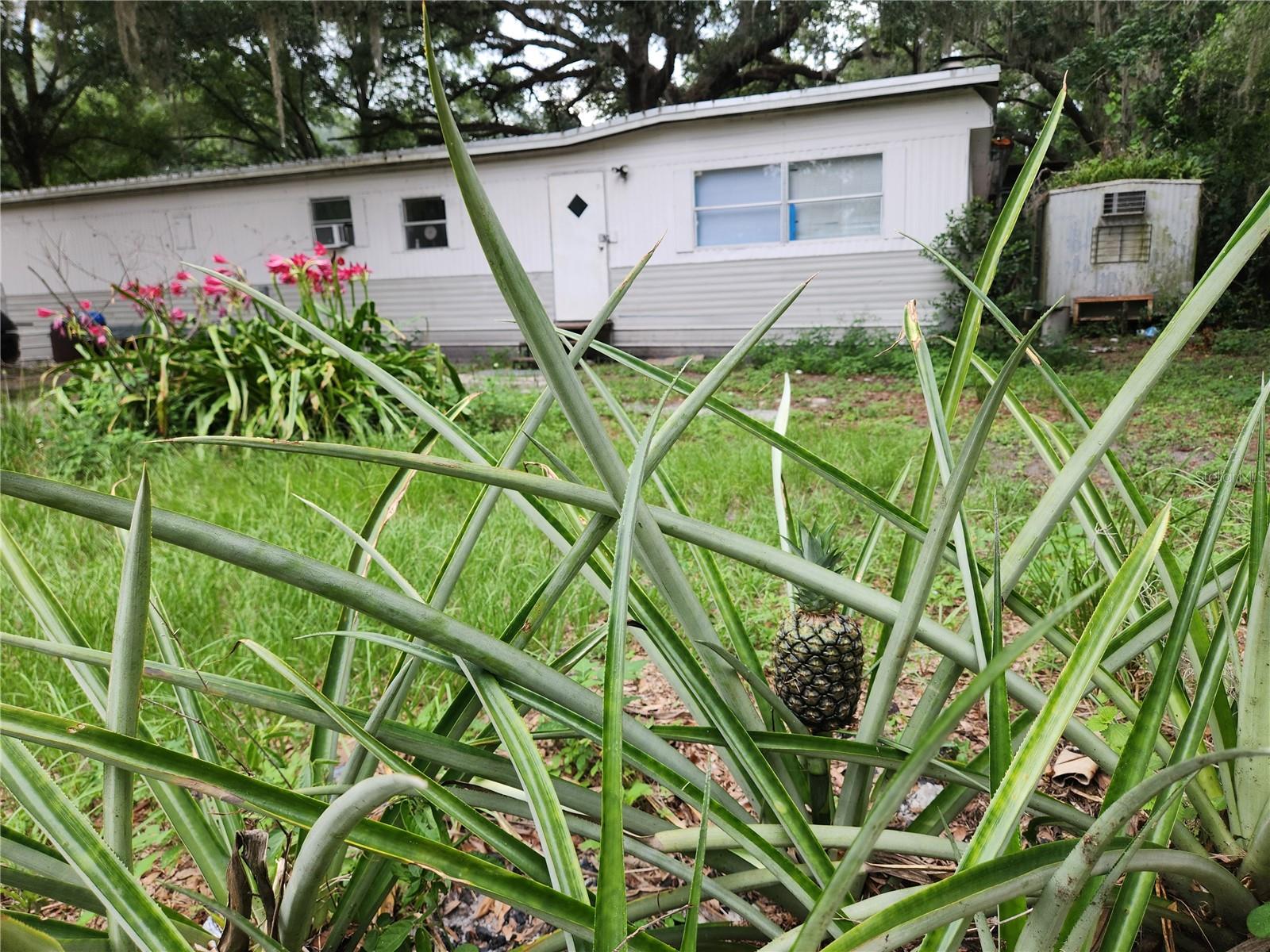 24815 AUDREY RD Property Photo 1