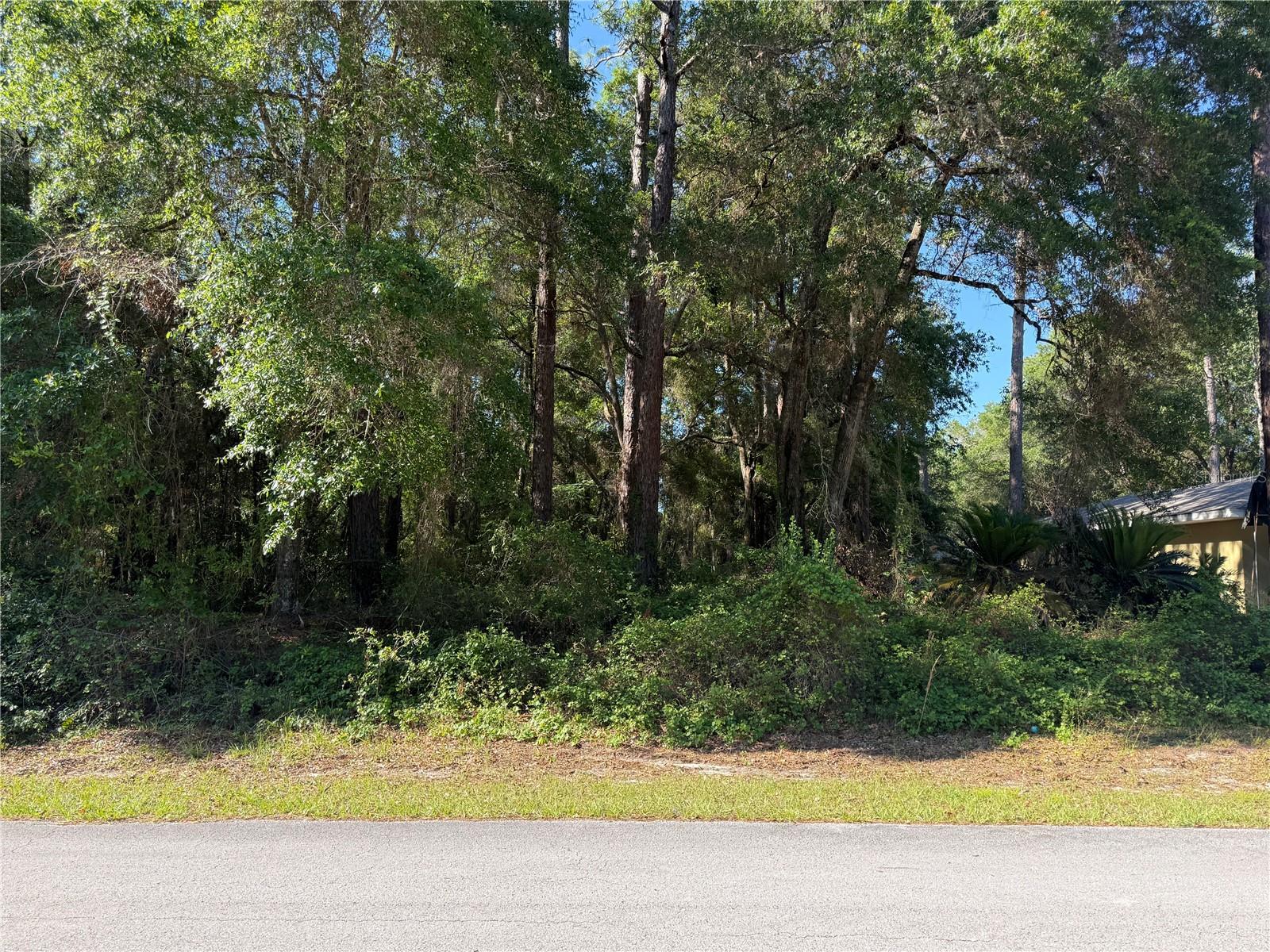 10927 N Airway Loop Property Photo 1