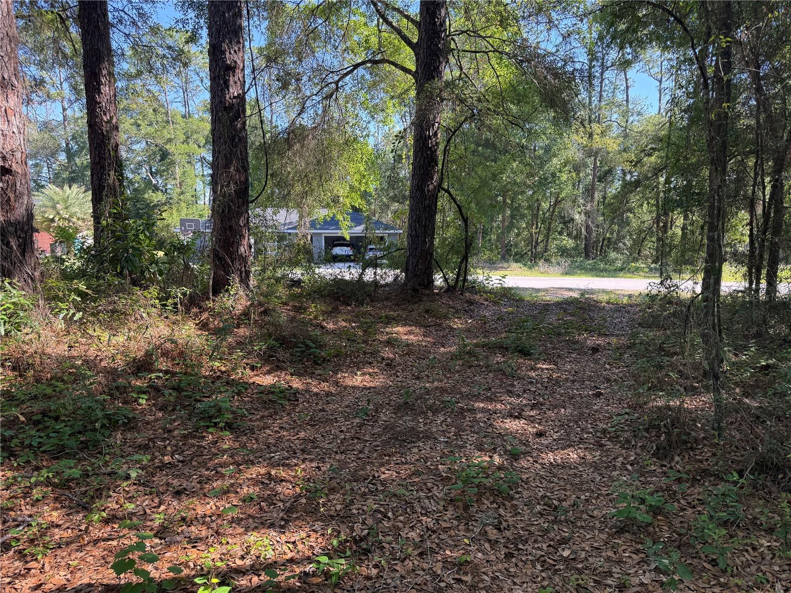 10927 N Airway Loop Property Photo 4