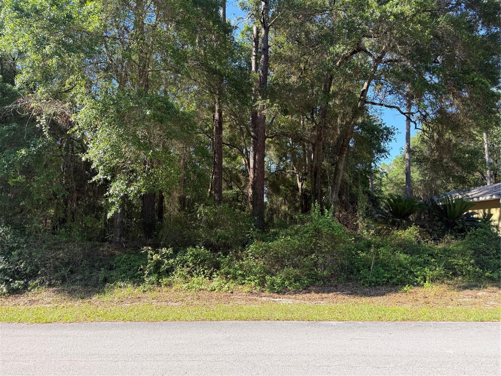 10927 N Airway Loop Property Photo 6