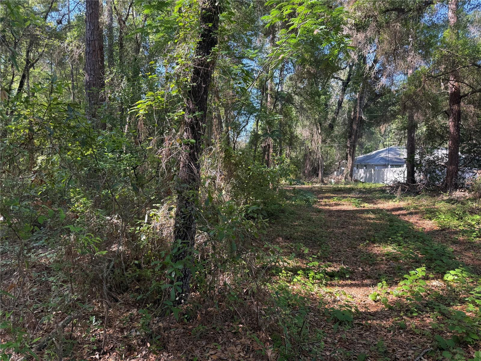 10927 N Airway Loop Property Photo 7