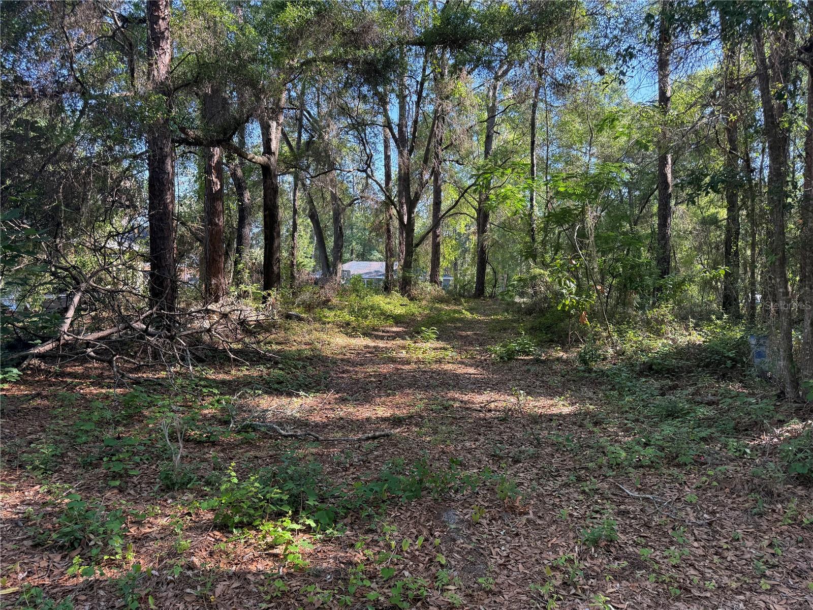 10927 N Airway Loop Property Photo 8