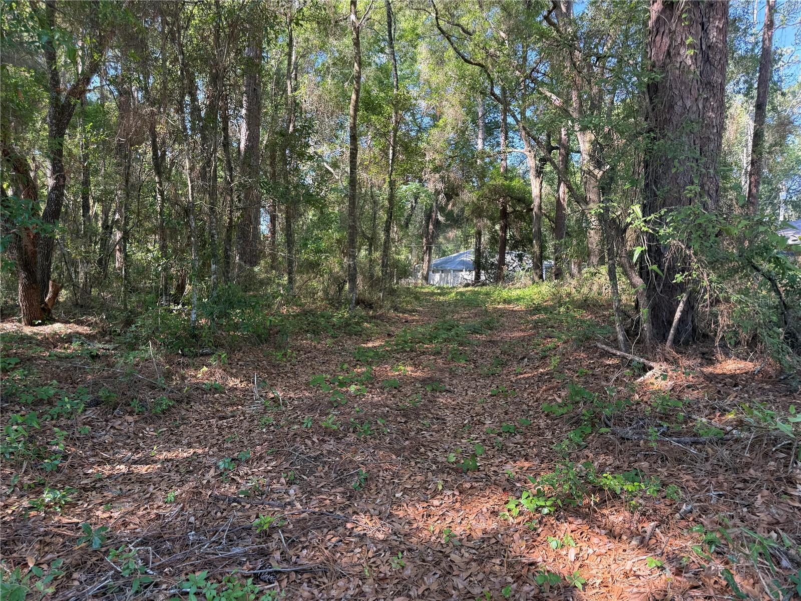 10927 N Airway Loop Property Photo 9