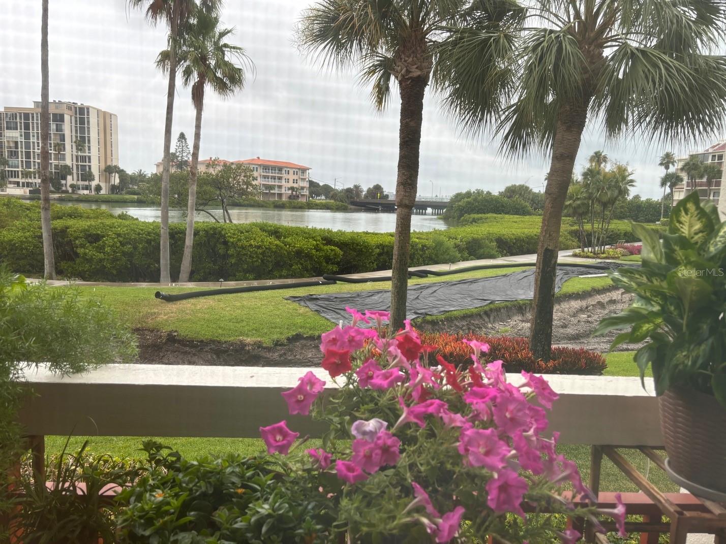 7897 Sailboat Key Blvd #107 Property Photo 34