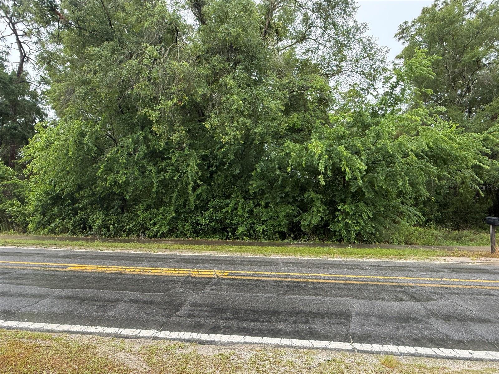 34184 Ridge Manor Blvd Property Photo 2