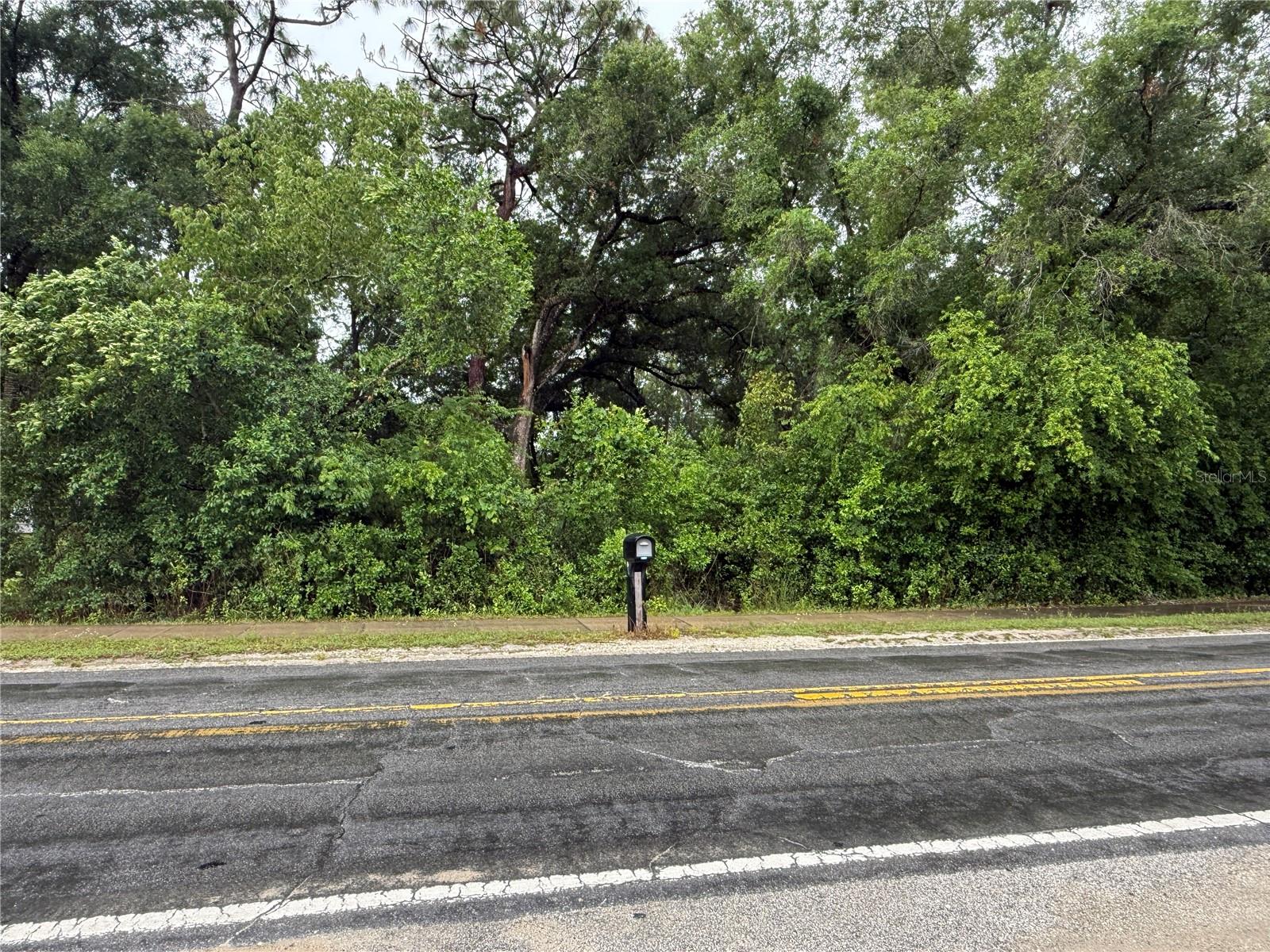 34184 Ridge Manor Blvd Property Photo 4