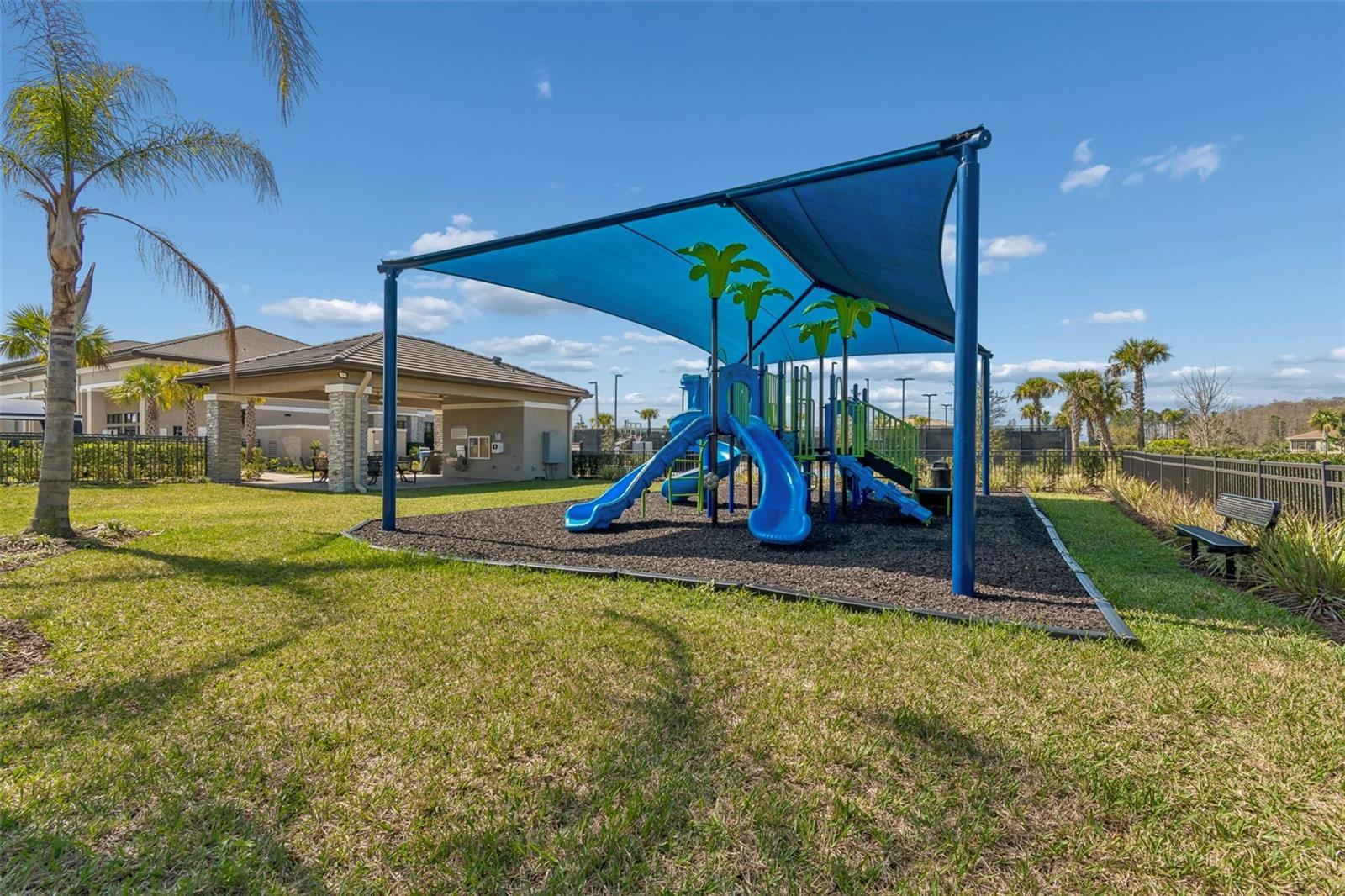 32732 Tree Of Life Ave Property Photo 56