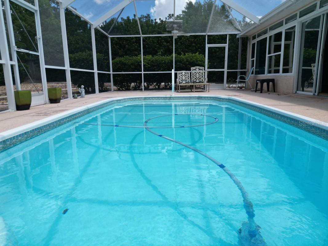 12125 Knotty Pine Loop Property Photo 33