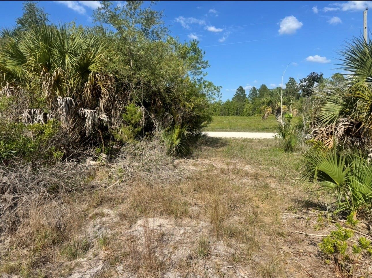 18455 Quiet Rd Property Photo 2