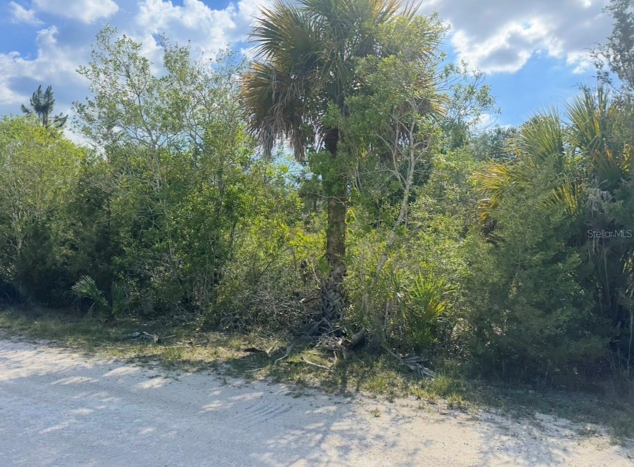 18455 Quiet Rd Property Photo 5