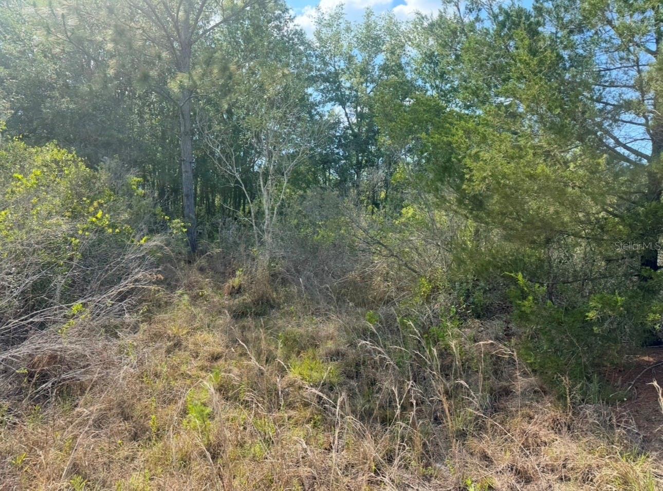 18455 Quiet Rd Property Photo 6