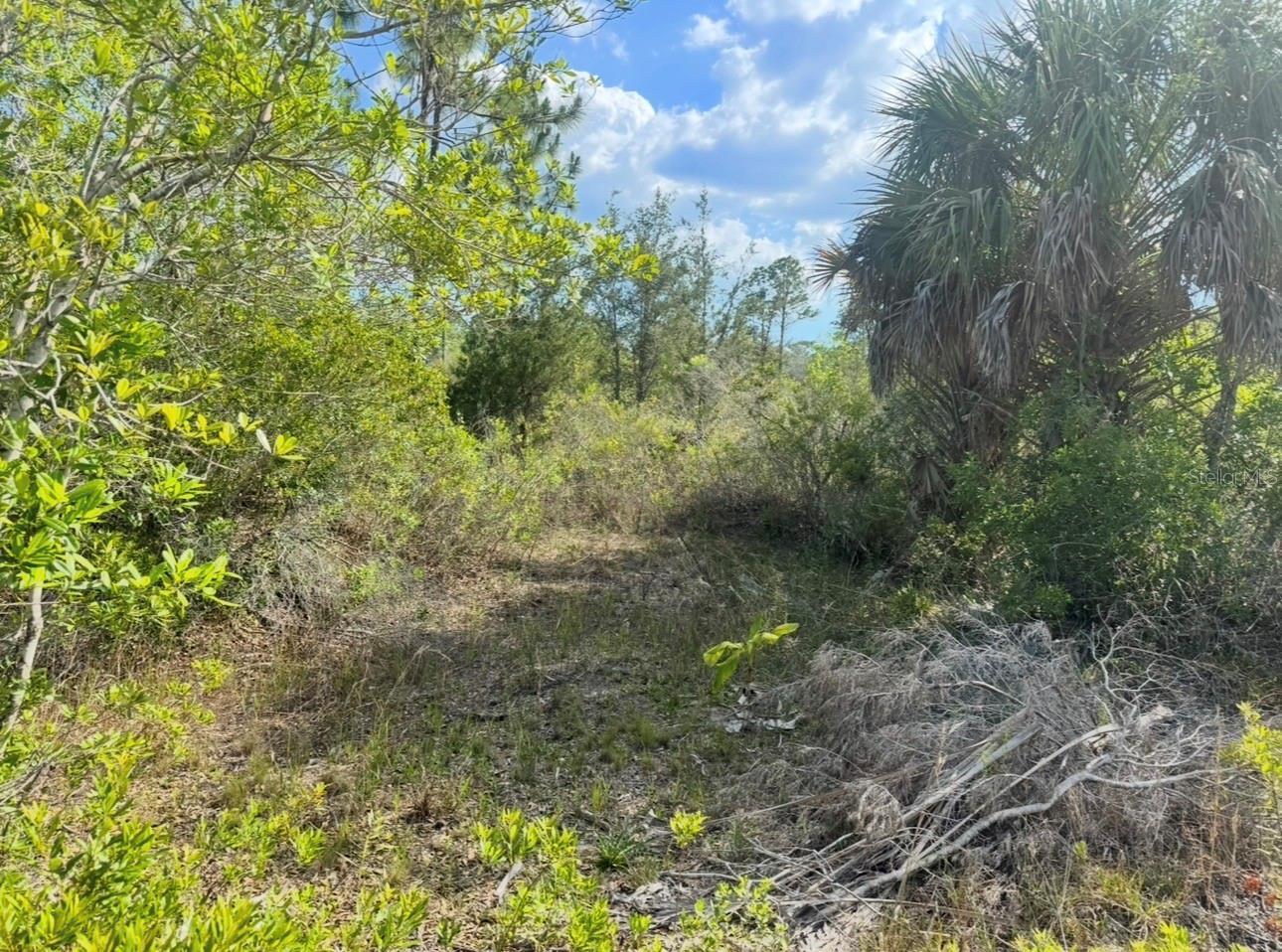 18455 Quiet Rd Property Photo 7