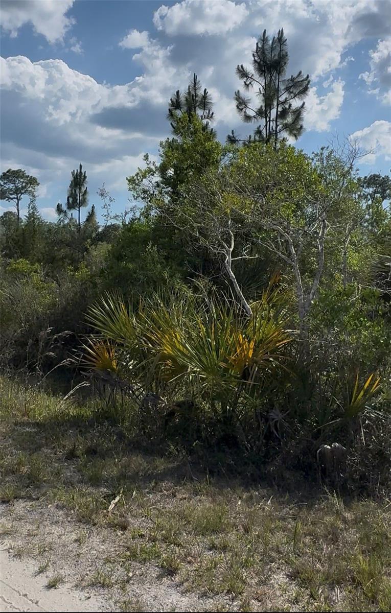 18455 Quiet Rd Property Photo 8