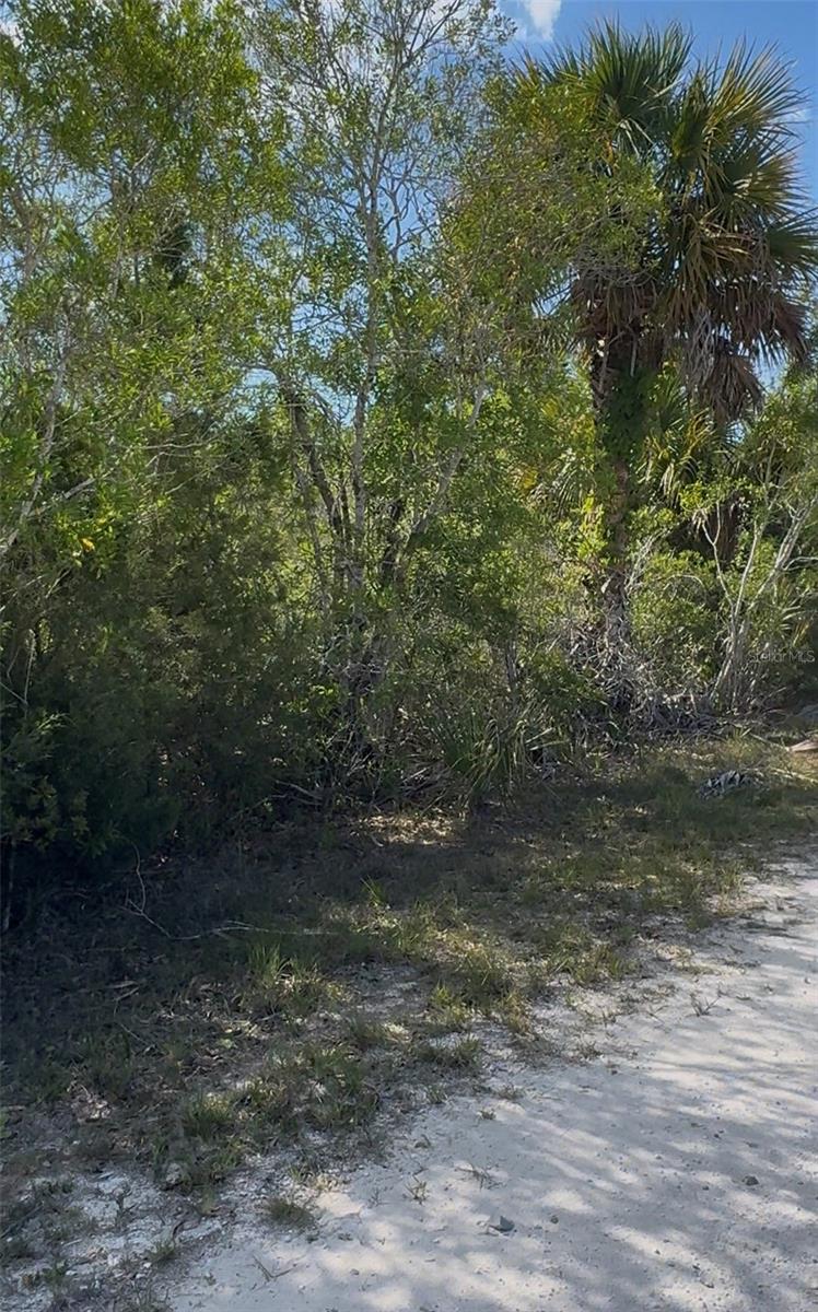 18455 Quiet Rd Property Photo 9