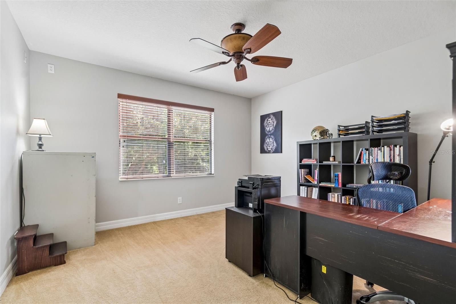 3654 Ballastone Dr Property Photo 49