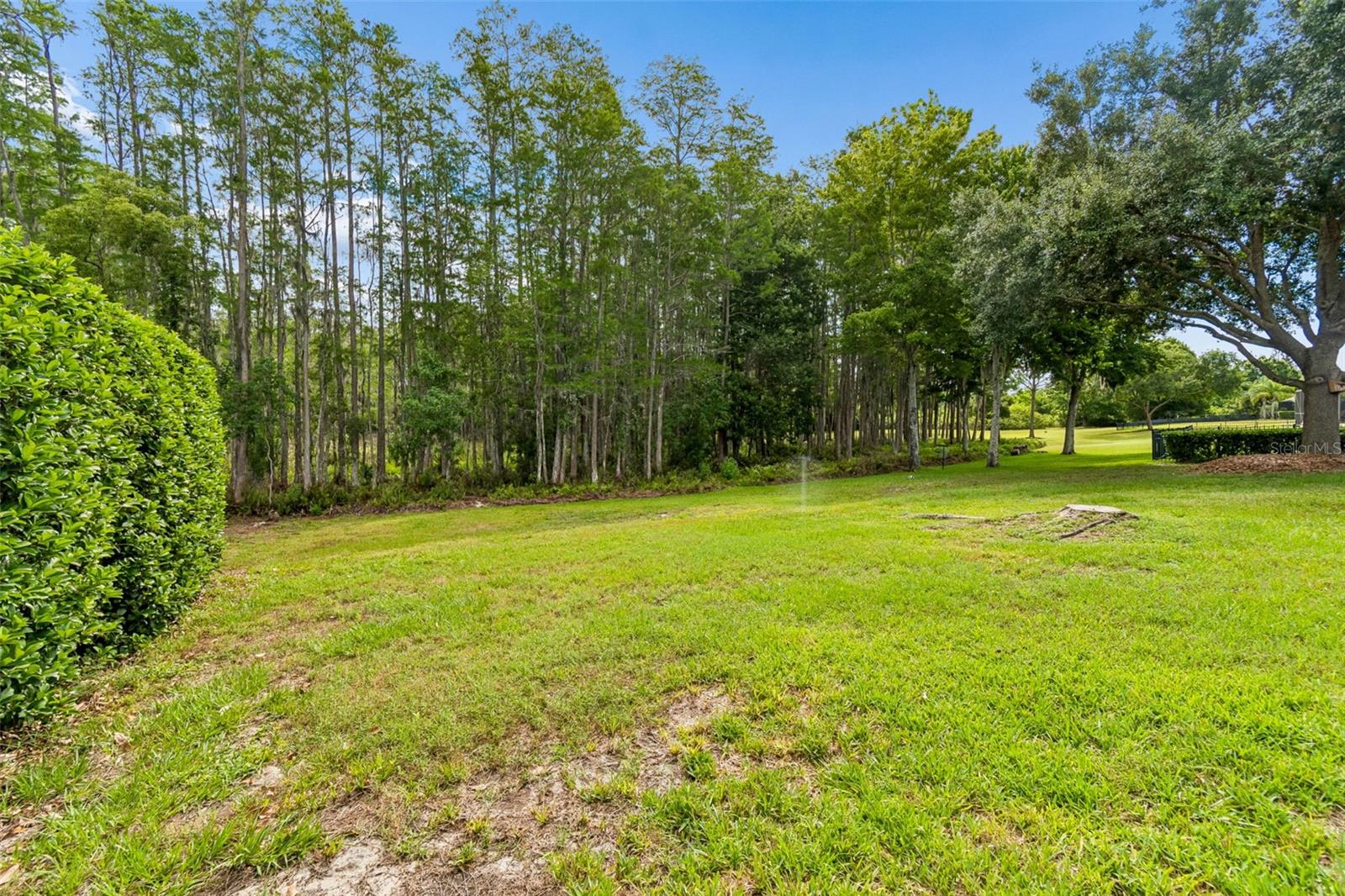 3654 Ballastone Dr Property Photo 87