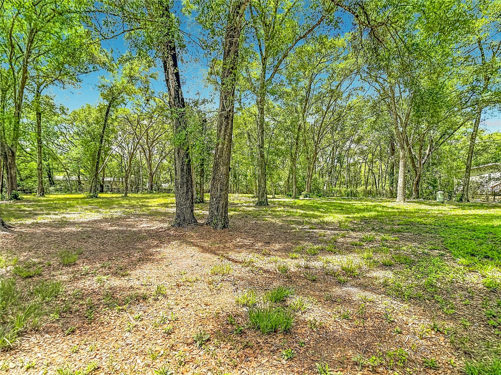 18118 Porsche Pl Property Photo 28