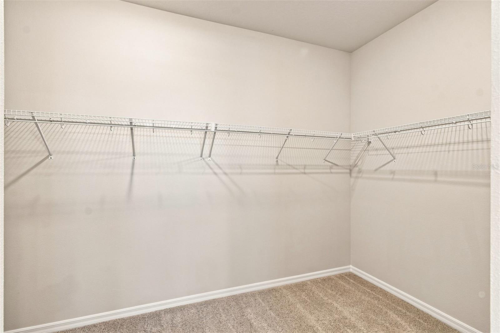 314 Stetson Rise Ct Property Photo 21