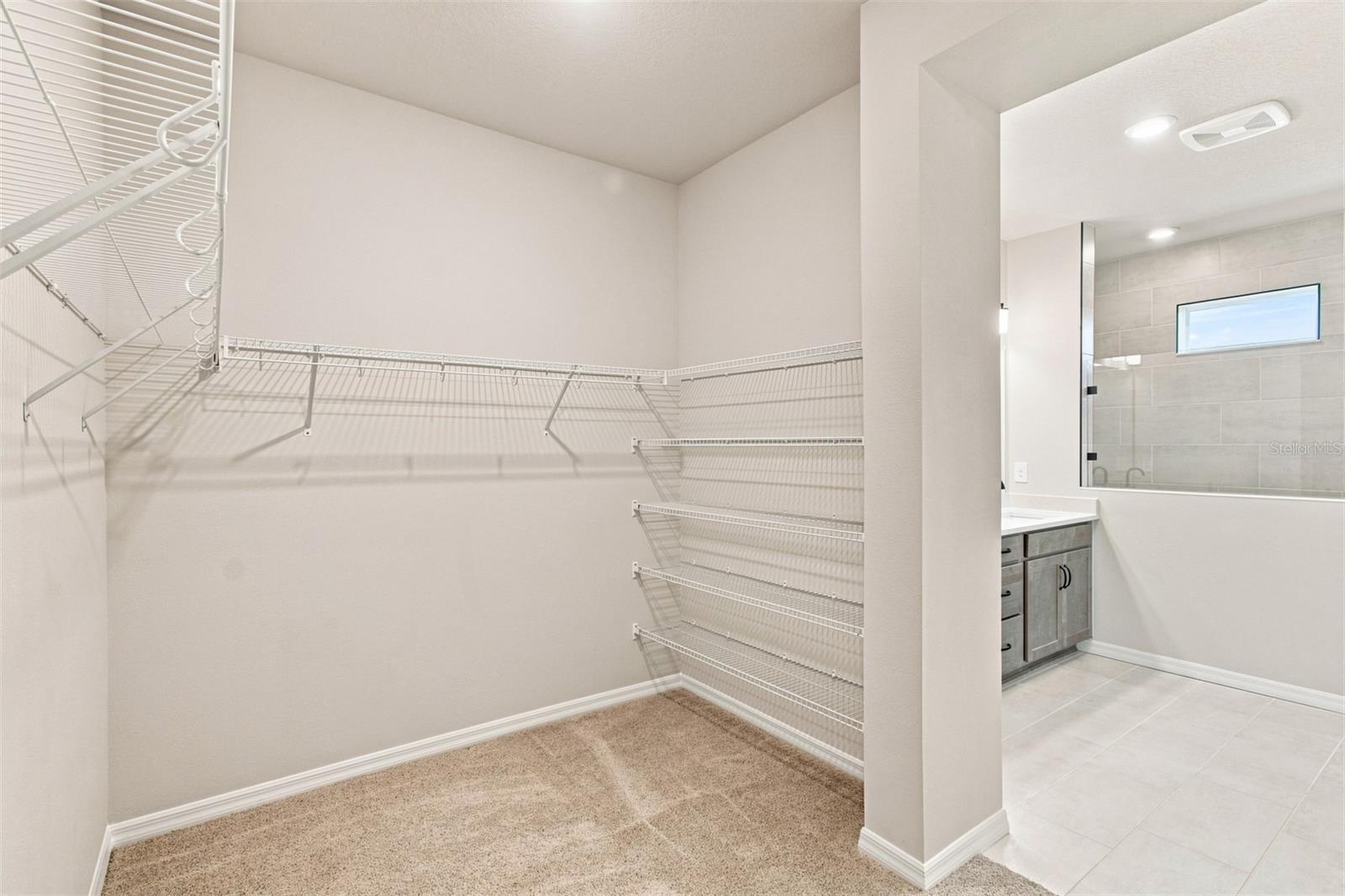 314 Stetson Rise Ct Property Photo 22