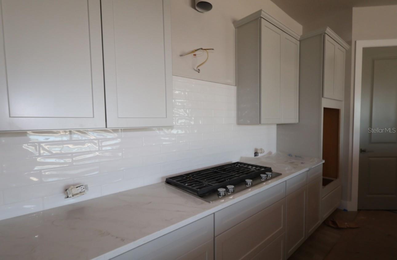 17577 Foxtail Loop Property Photo 9