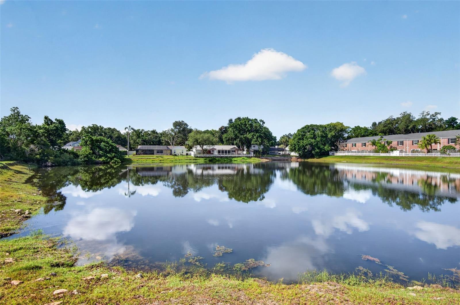 2521 Cedar Cypress Ct #101 Property Photo 29
