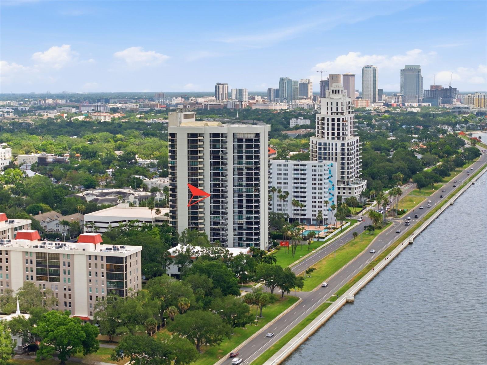 2413 Bayshore Blvd #1004 Property Photo
