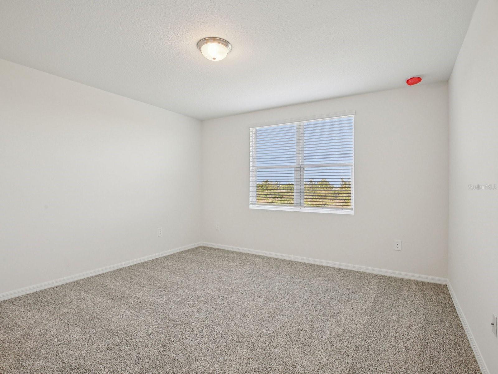 823 Sunshower Dr Property Photo 7