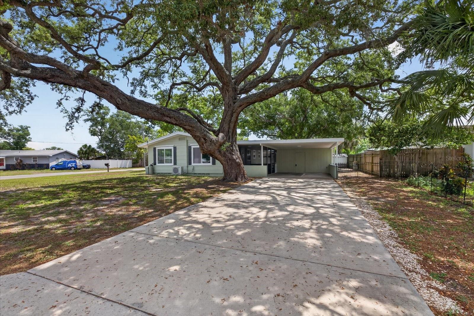 749 Palm Ave Property Photo 6