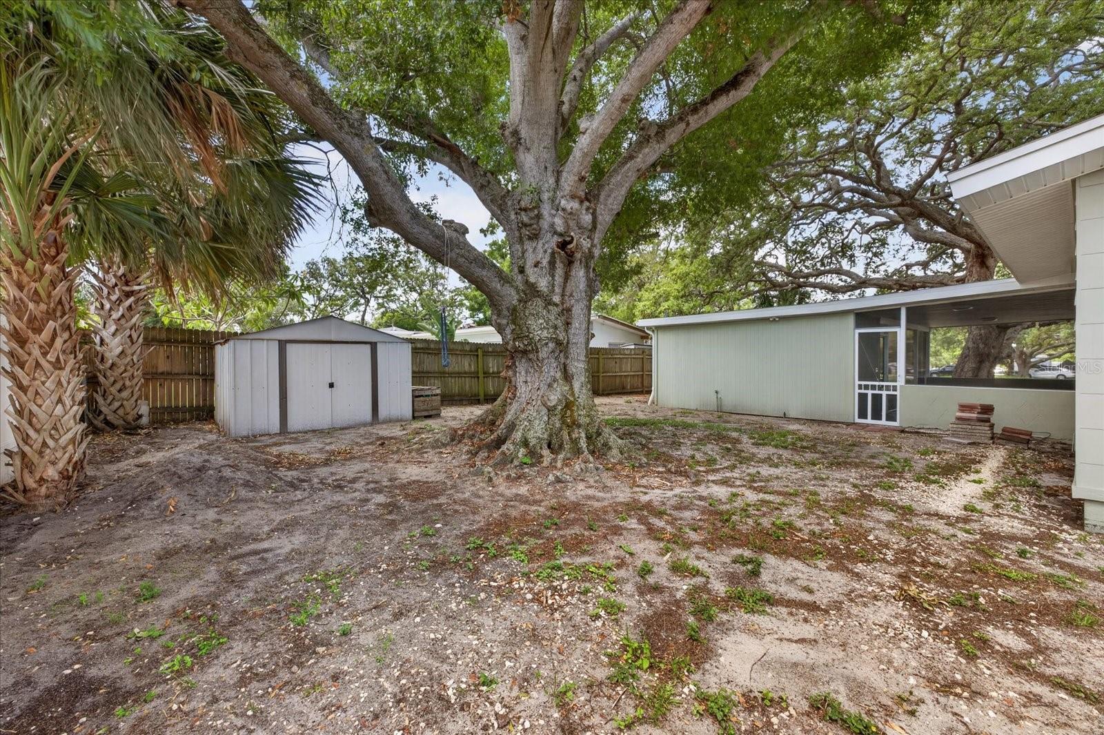 749 Palm Ave Property Photo 22