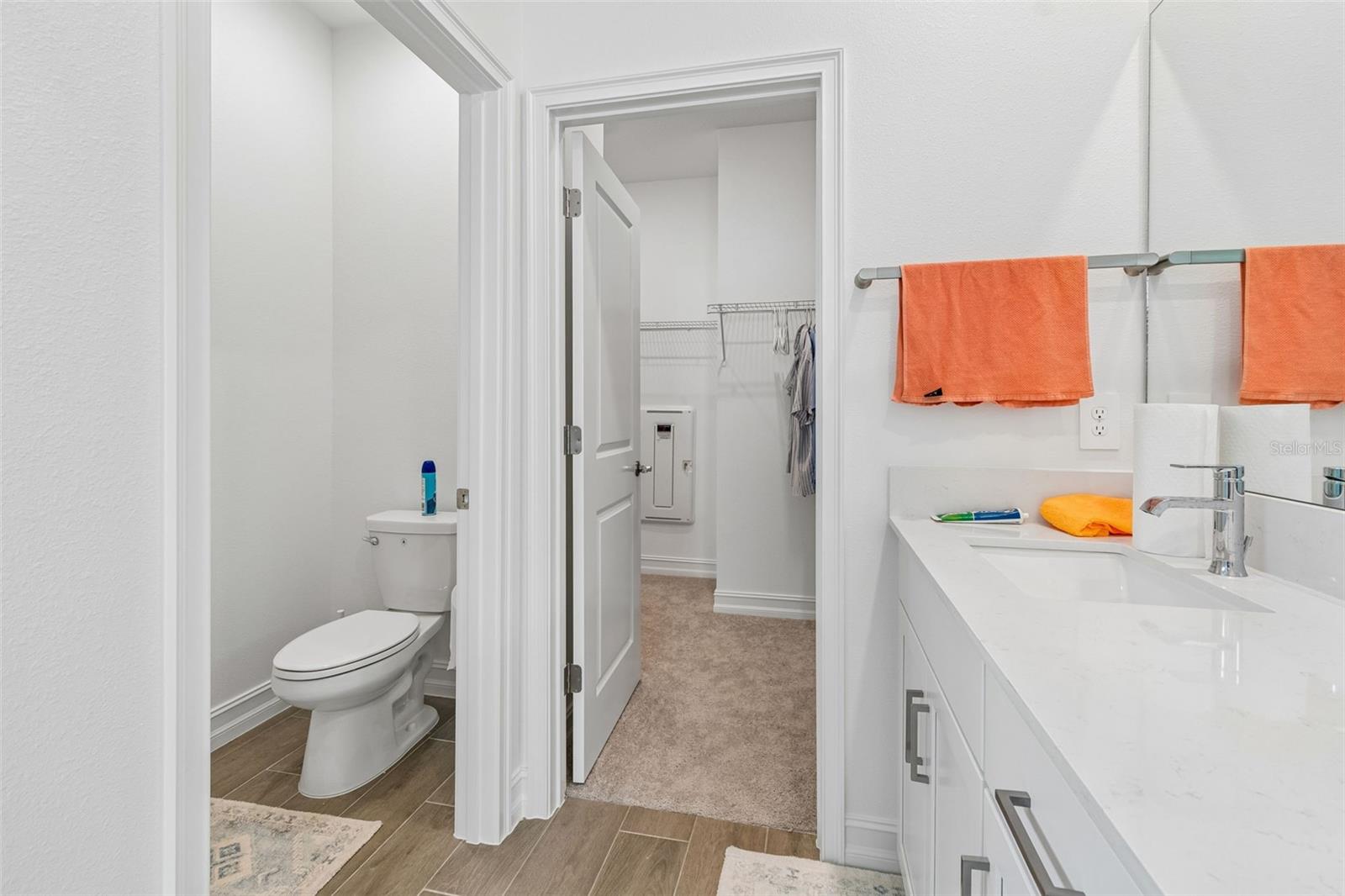 18542 Serene Lake Loop Property Photo 48