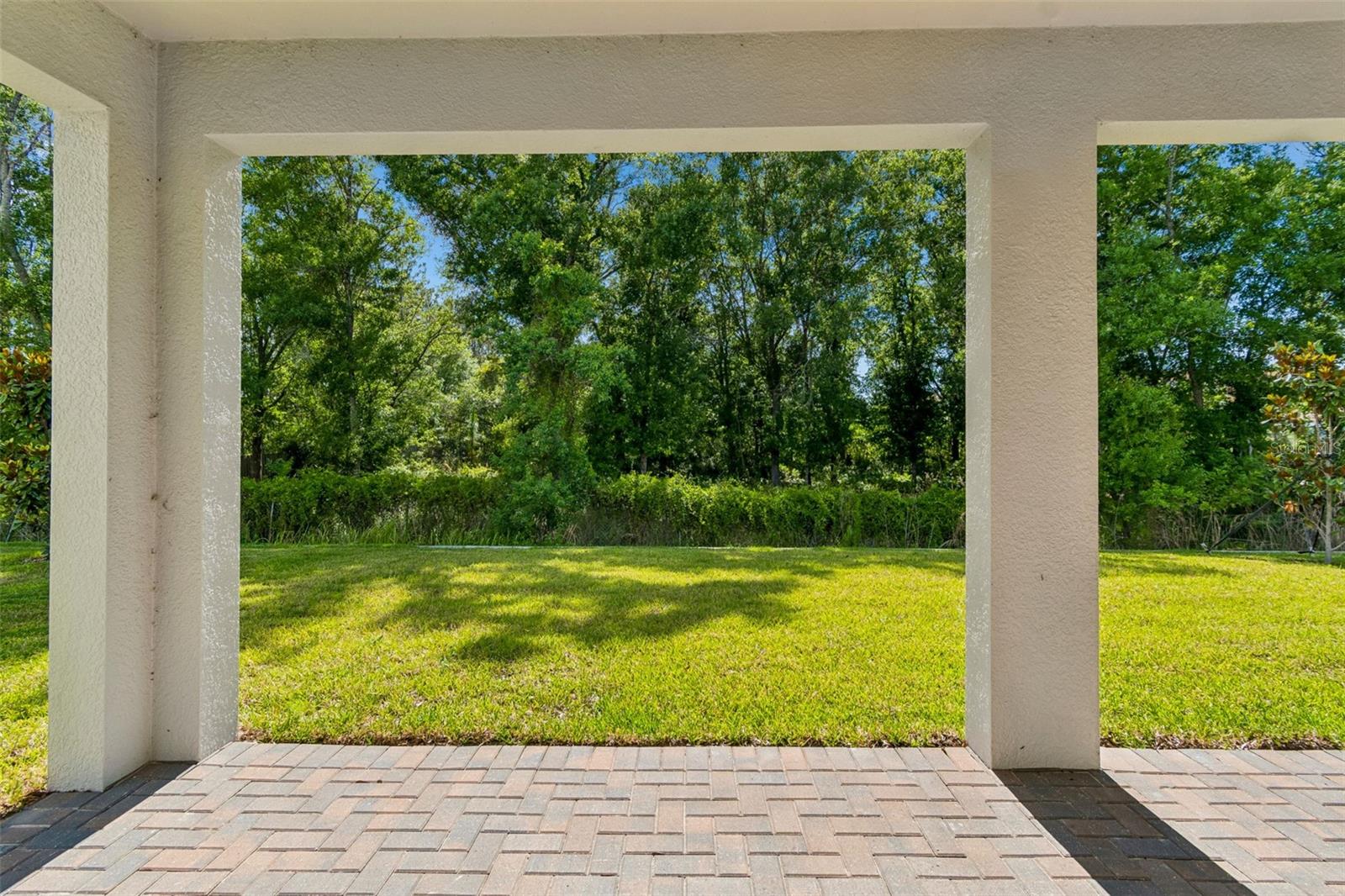 18542 Serene Lake Loop Property Photo 50