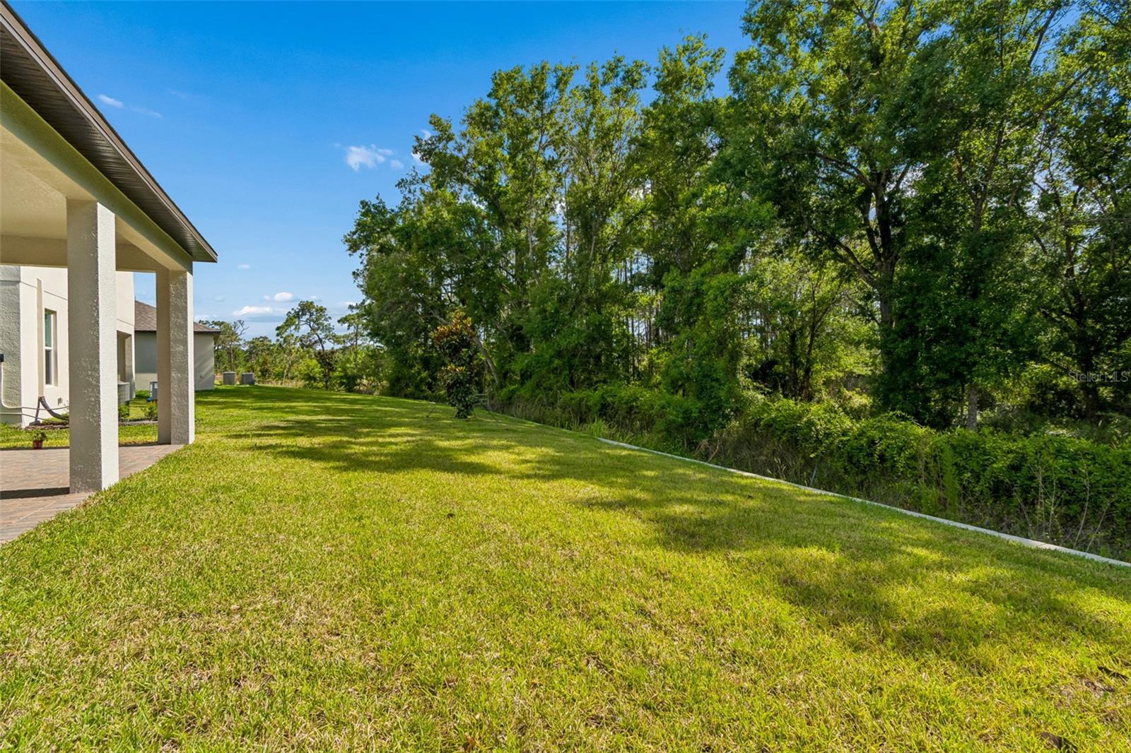 18542 Serene Lake Loop Property Photo 53