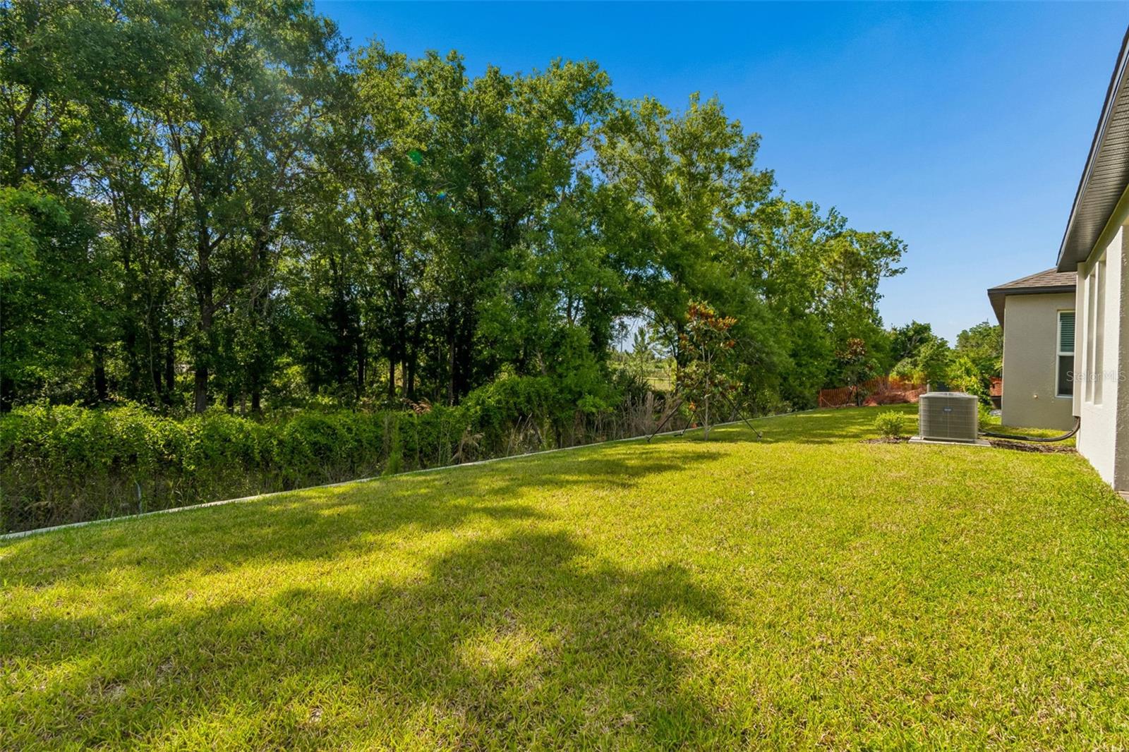 18542 Serene Lake Loop Property Photo 54