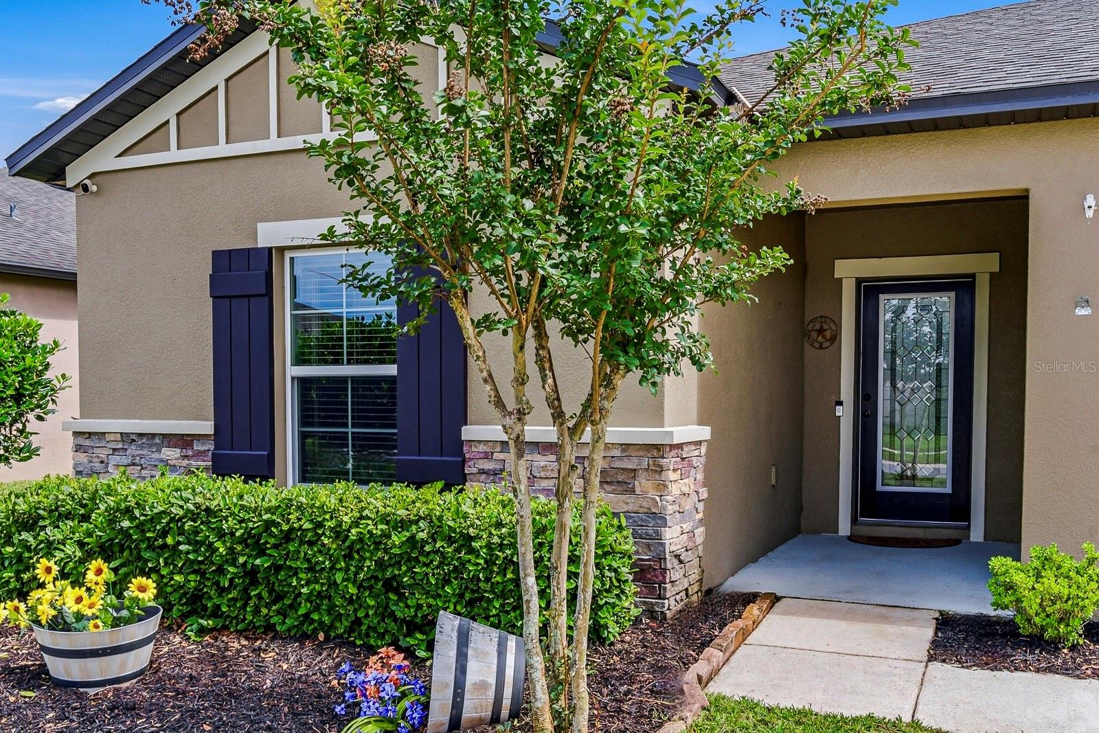 18738 Alfaro Loop Property Photo 4